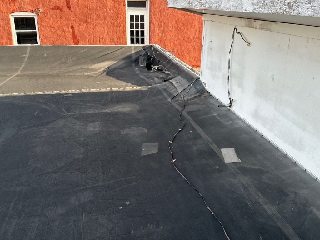 DeeGee before picture